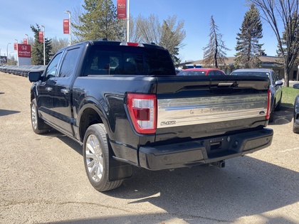 used 2023 Ford F-150 car, priced at $65,900
