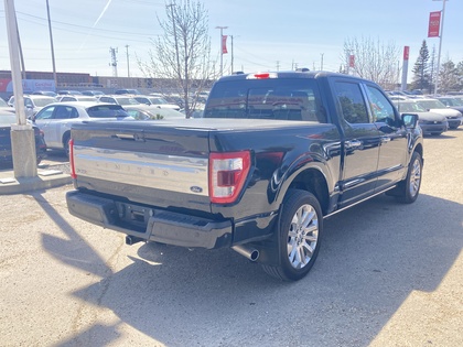 used 2023 Ford F-150 car, priced at $65,900