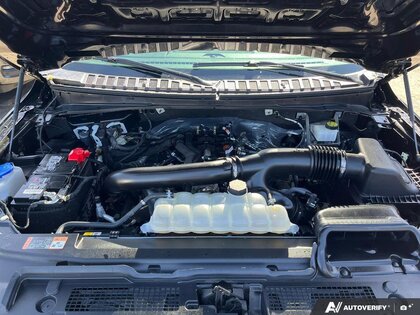 used 2024 Ford Expedition car, priced at $59,999
