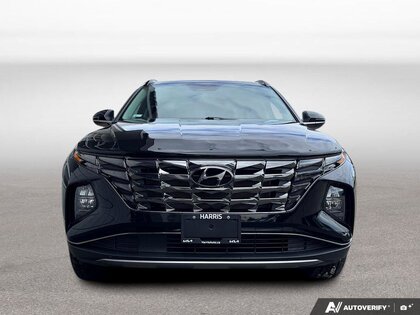 used 2023 Hyundai Tucson car, priced at $27,999