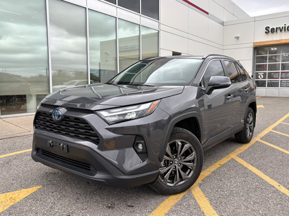 used 2024 Toyota RAV4 car, priced at $43,495