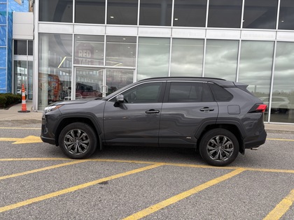 used 2024 Toyota RAV4 car, priced at $43,495