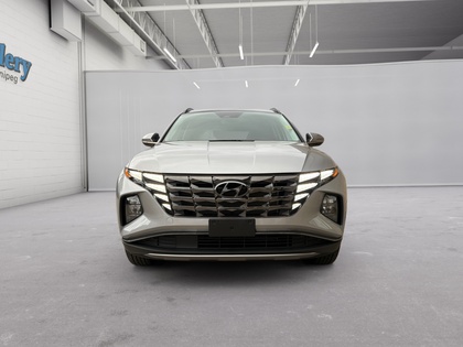 used 2024 Hyundai Tucson car, priced at $33,982