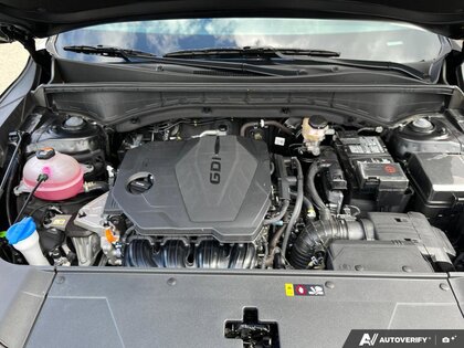 used 2025 Kia Sorento car, priced at $41,145