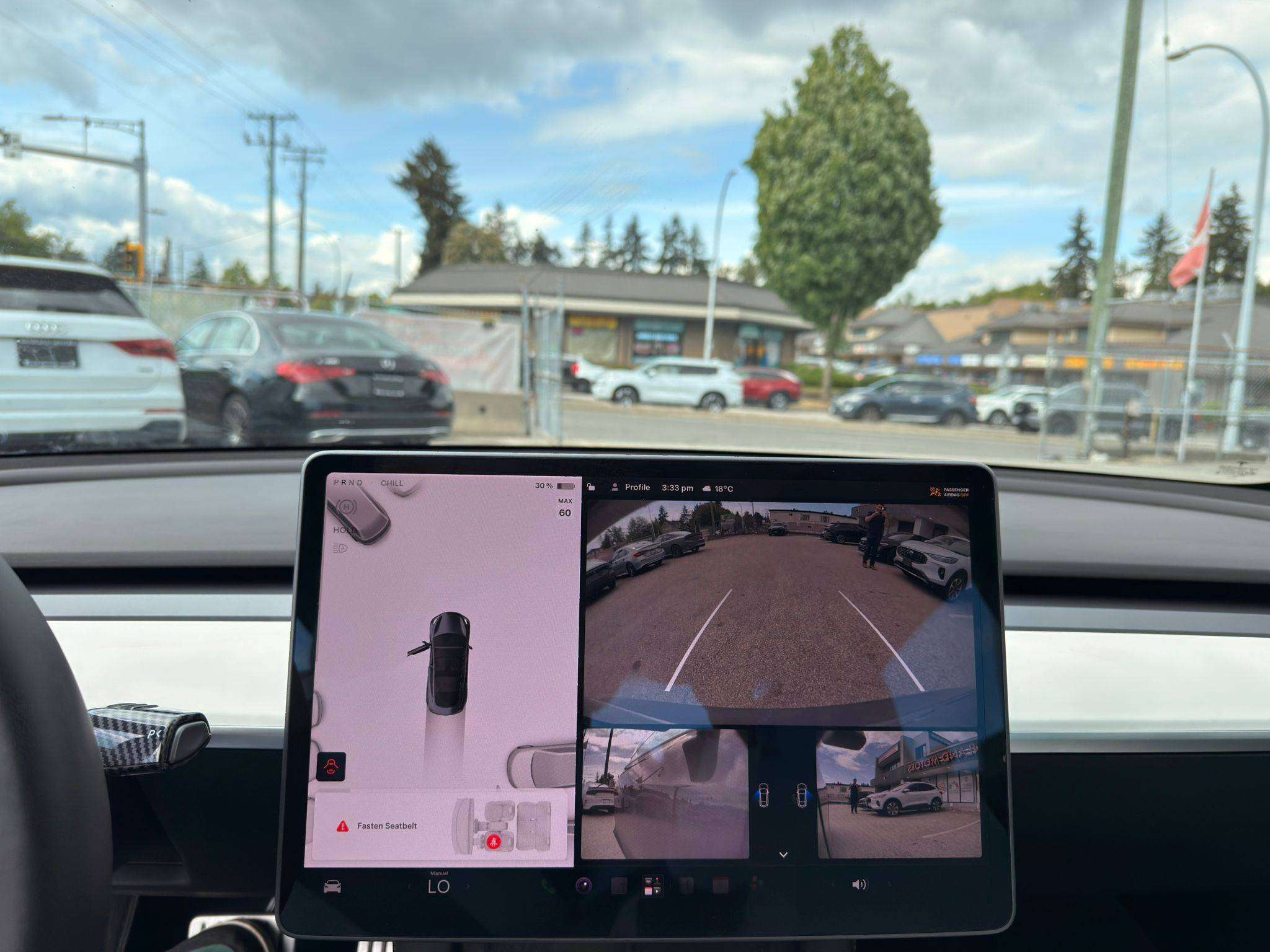 2021 Tesla Model 3 — view 11