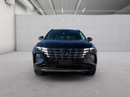 used 2024 Hyundai Tucson car, priced at $37,080