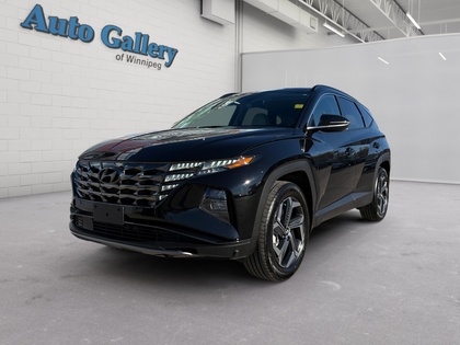 used 2024 Hyundai Tucson car, priced at $37,080