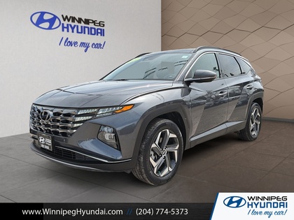 used 2022 Hyundai Tucson Hybrid car, priced at $33,155