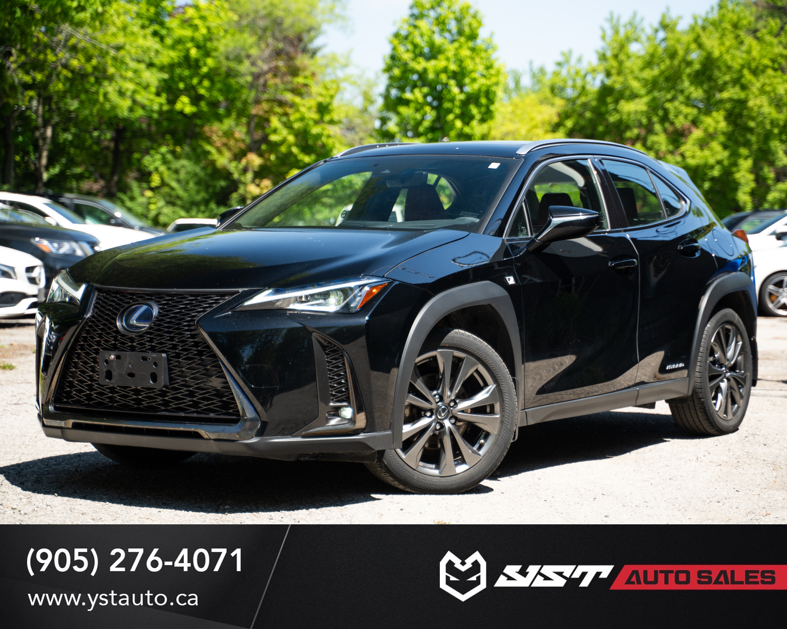 2019 Lexus UX Hybrid 250h F Sport AWD
