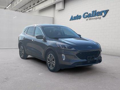 used 2022 Ford Escape car, priced at $23,857