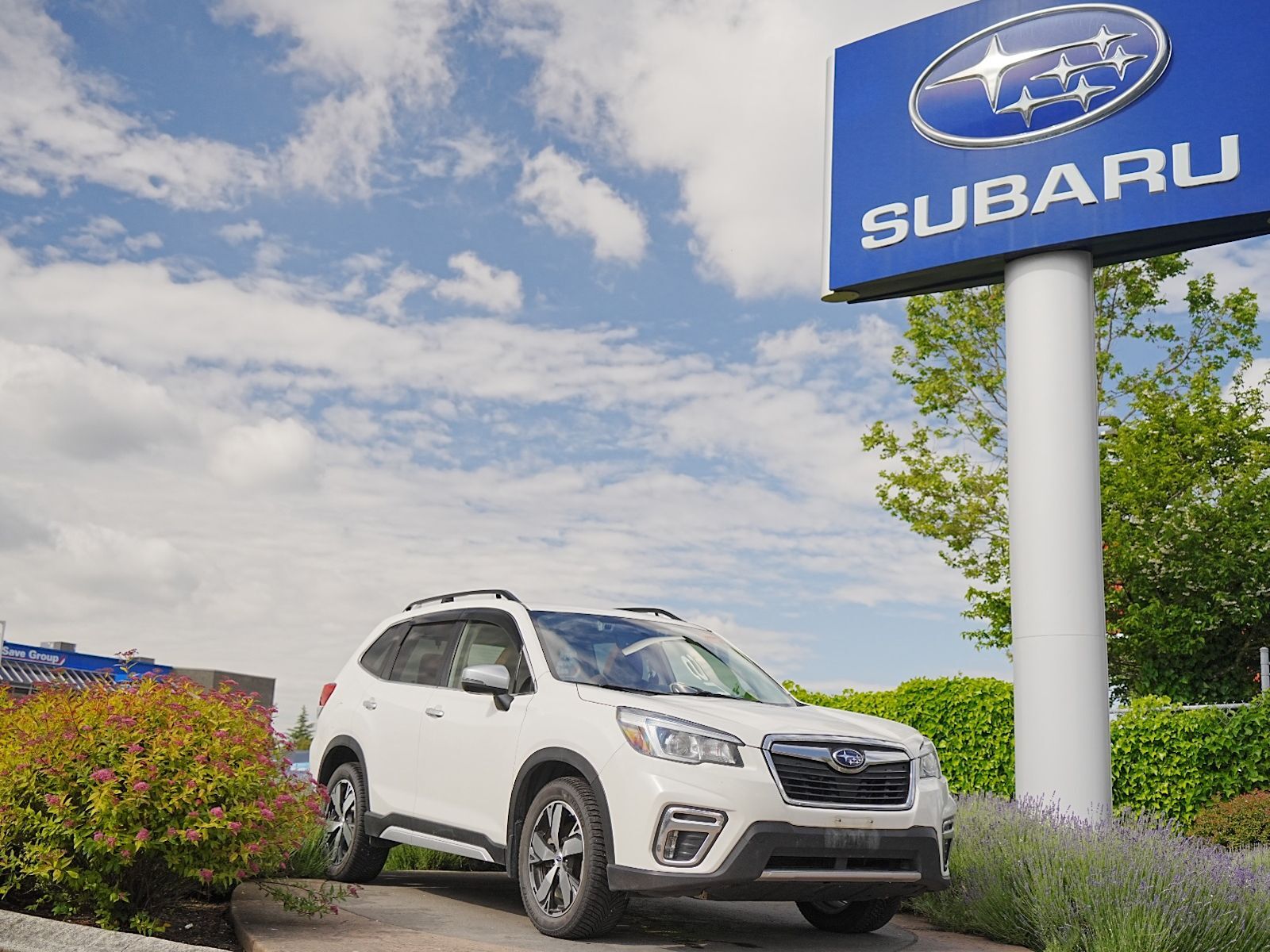 2020 Subaru Forester