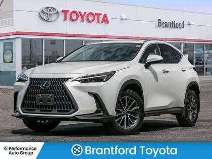 2024 Lexus NX Hybrid 350h Luxury AWD