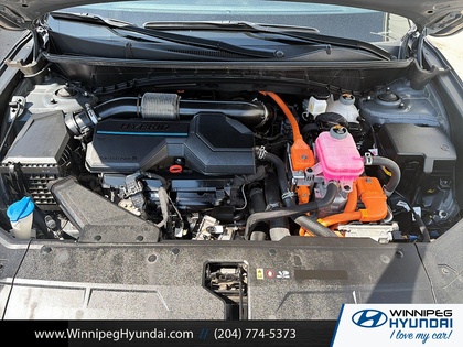 used 2024 Hyundai Tucson Hybrid car, priced at $35,997