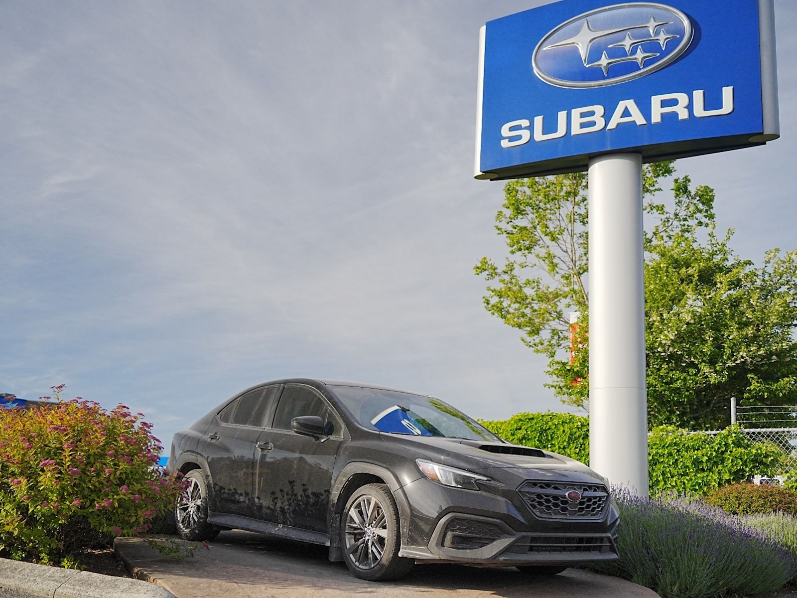 2024 Subaru WRX