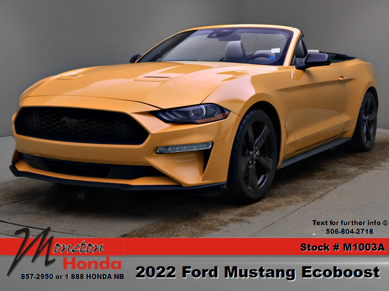 2022 Ford Mustang