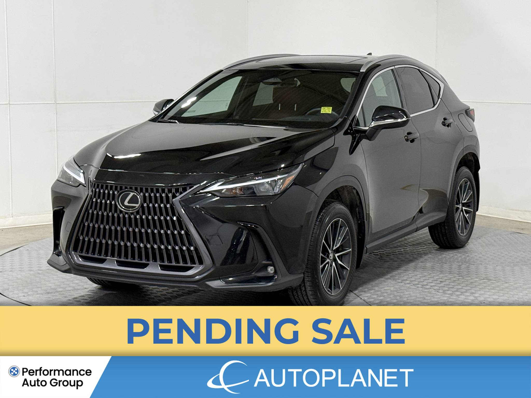 2024 Lexus NX