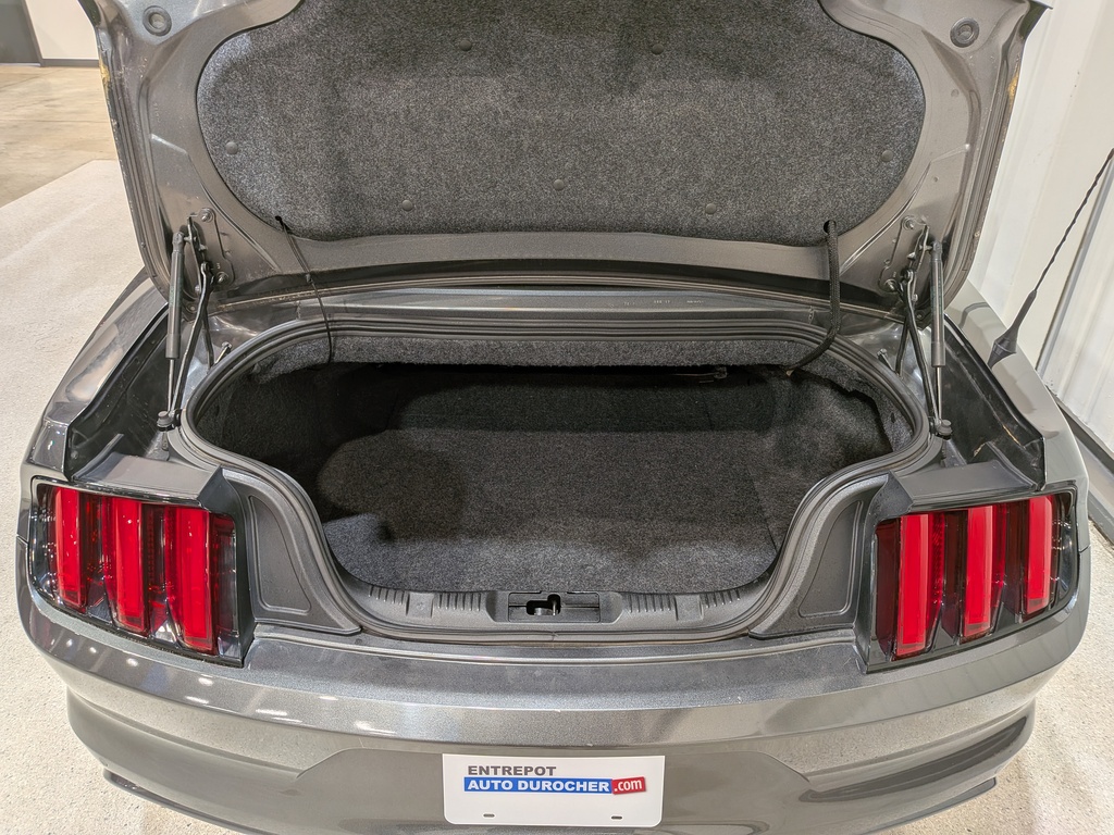 Ford Mustang 2017