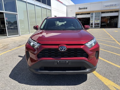 used 2024 Toyota RAV4 car, priced at $31,995