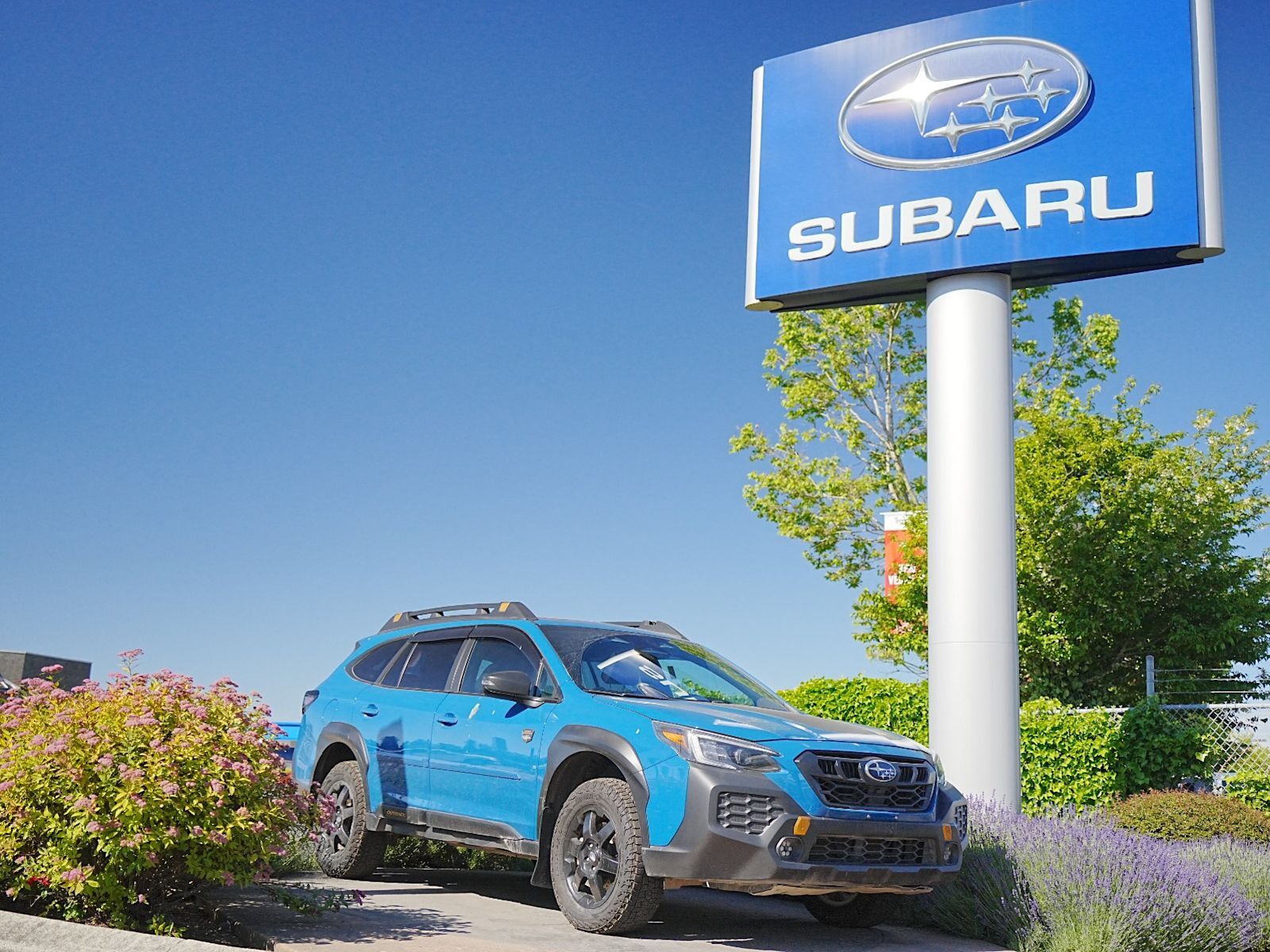 2024 Subaru Outback