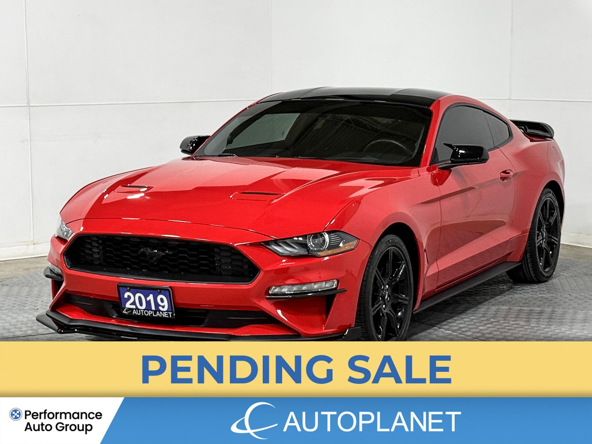 2019 Ford Mustang
