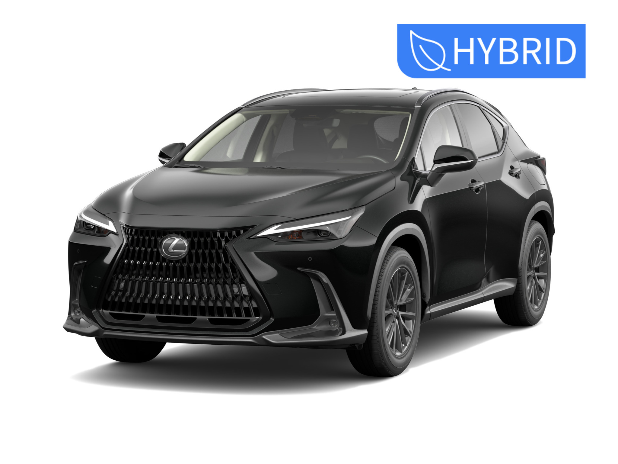 2025 Lexus NX