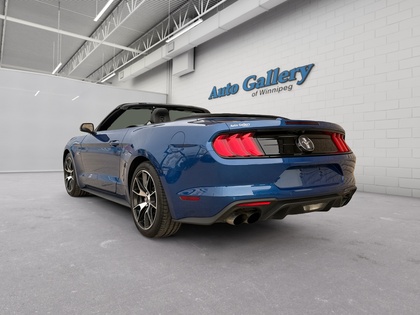 used 2022 Ford Mustang car, priced at $38,588