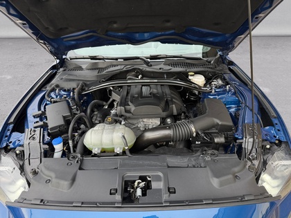 used 2022 Ford Mustang car, priced at $38,588