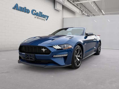 Blue 2022 Ford Mustang EcoBoost Convertible RWD Convertible Rear-Wheel Drive Automatic