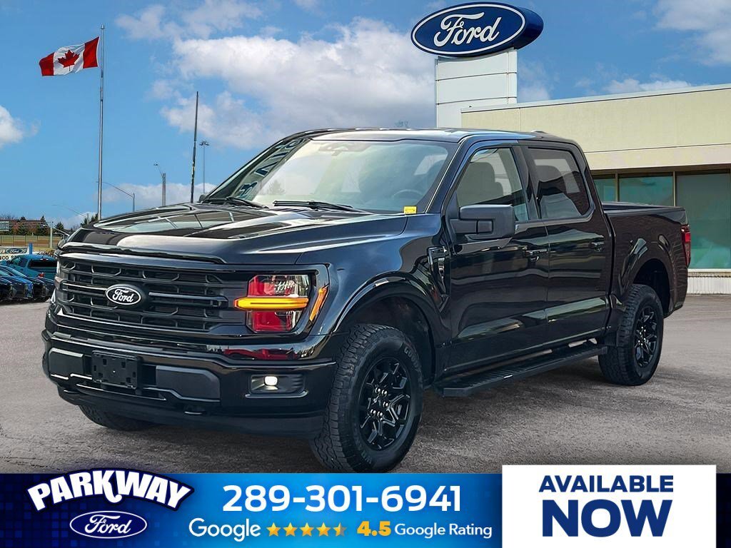 2025 Ford F-150 XLT   301A   XLT BLACK APP PKG