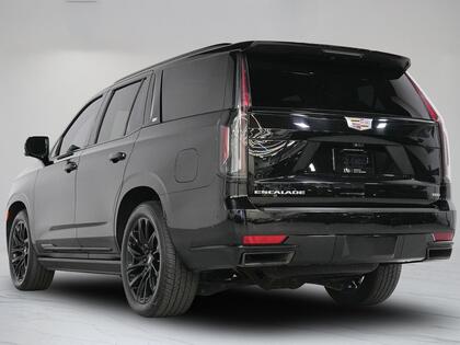 used 2023 Cadillac Escalade car, priced at $87,900