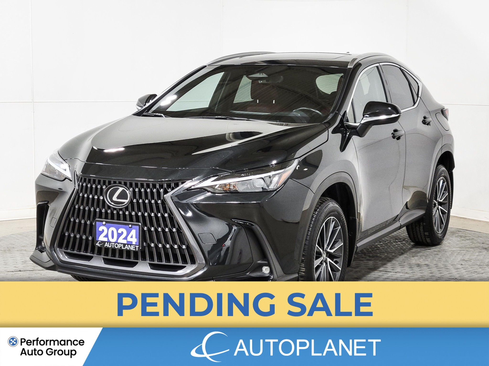2024 Lexus NX