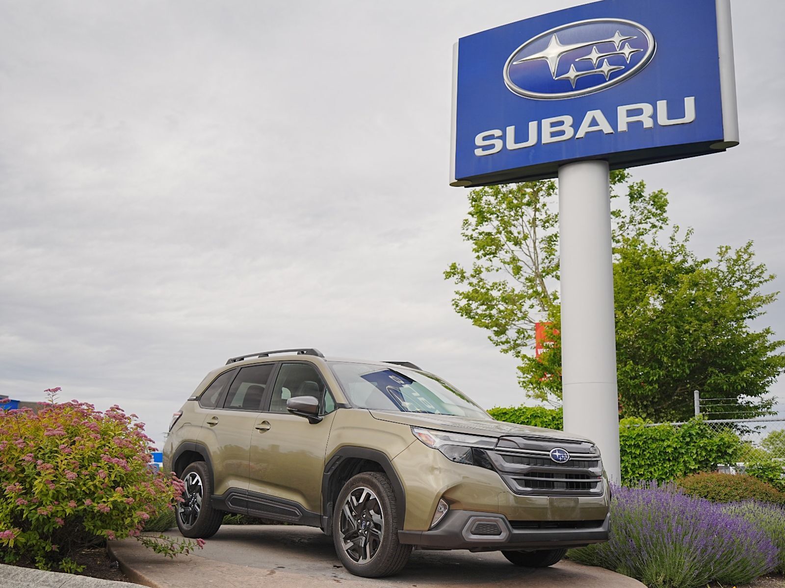 2025 Subaru Forester