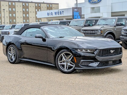 Black 2024 Ford Mustang EcoBoost Convertible RWD Convertible Rear-Wheel Drive Automatic