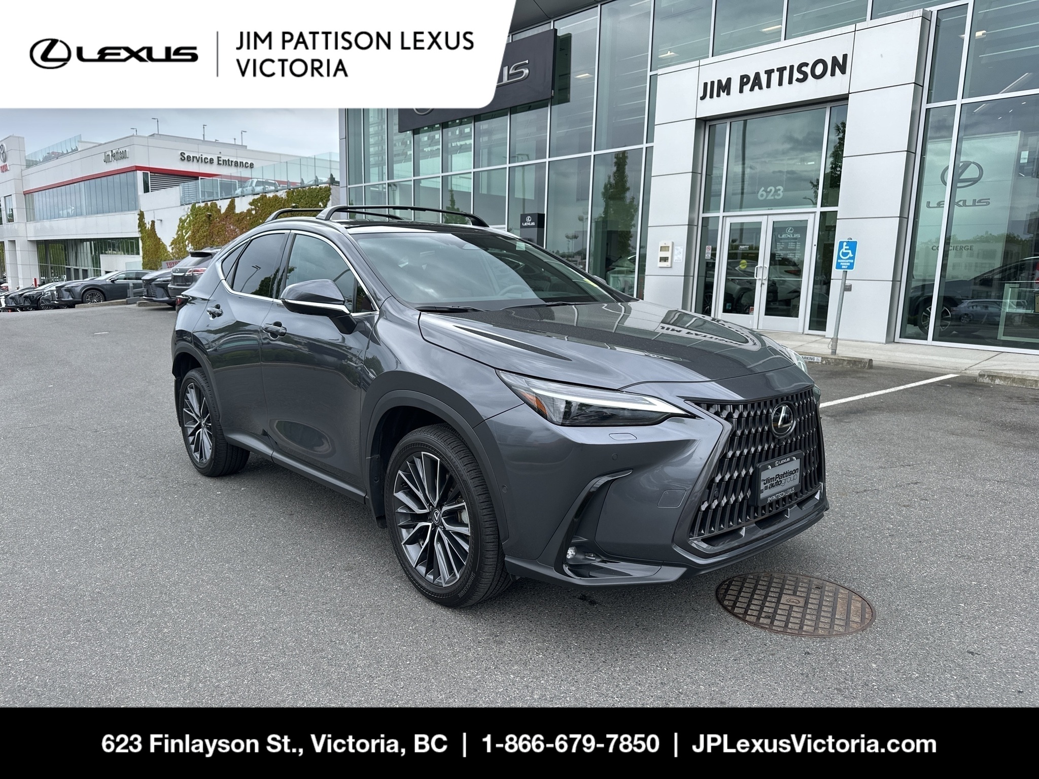 2025 Lexus NX