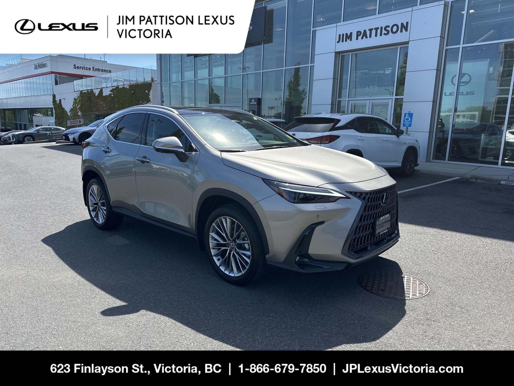 2026 Lexus NX