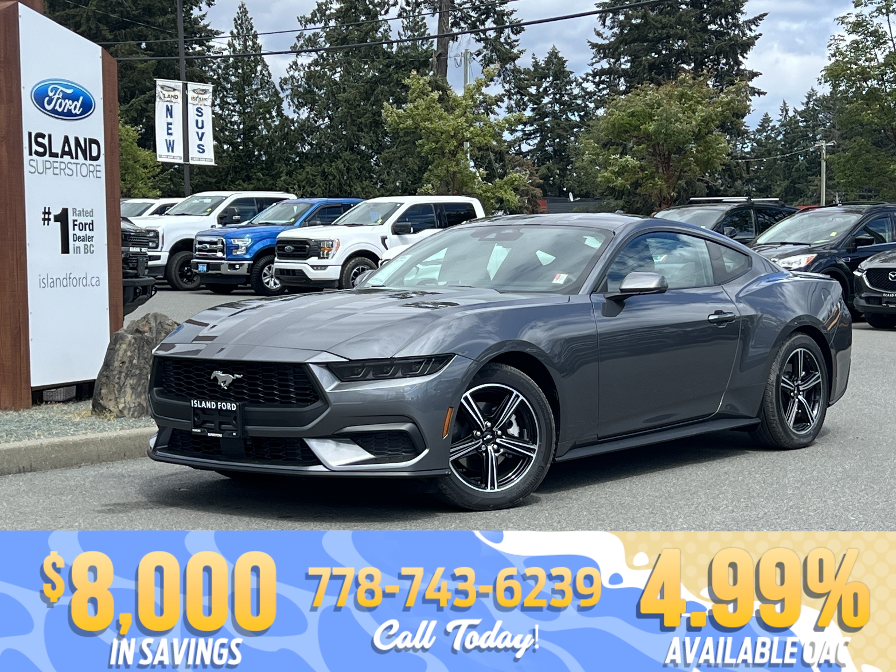 Gray 2025 Ford Mustang EcoBoost Fastback RWD Coupe Rear-Wheel Drive Automatic