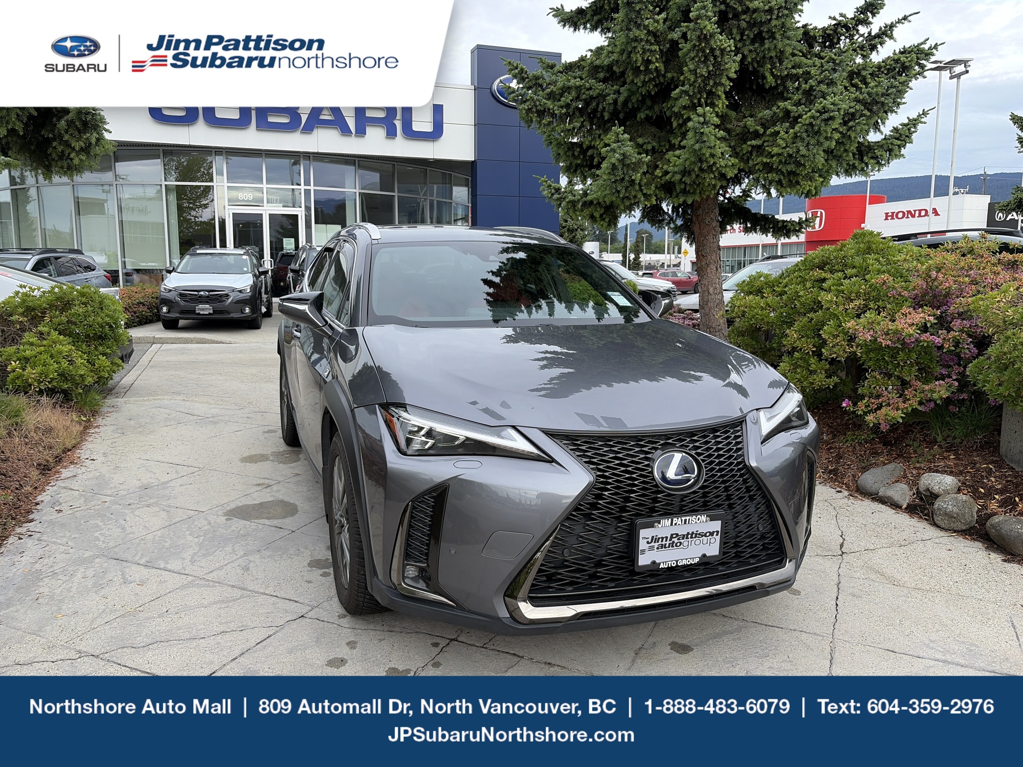 2021 Lexus UX