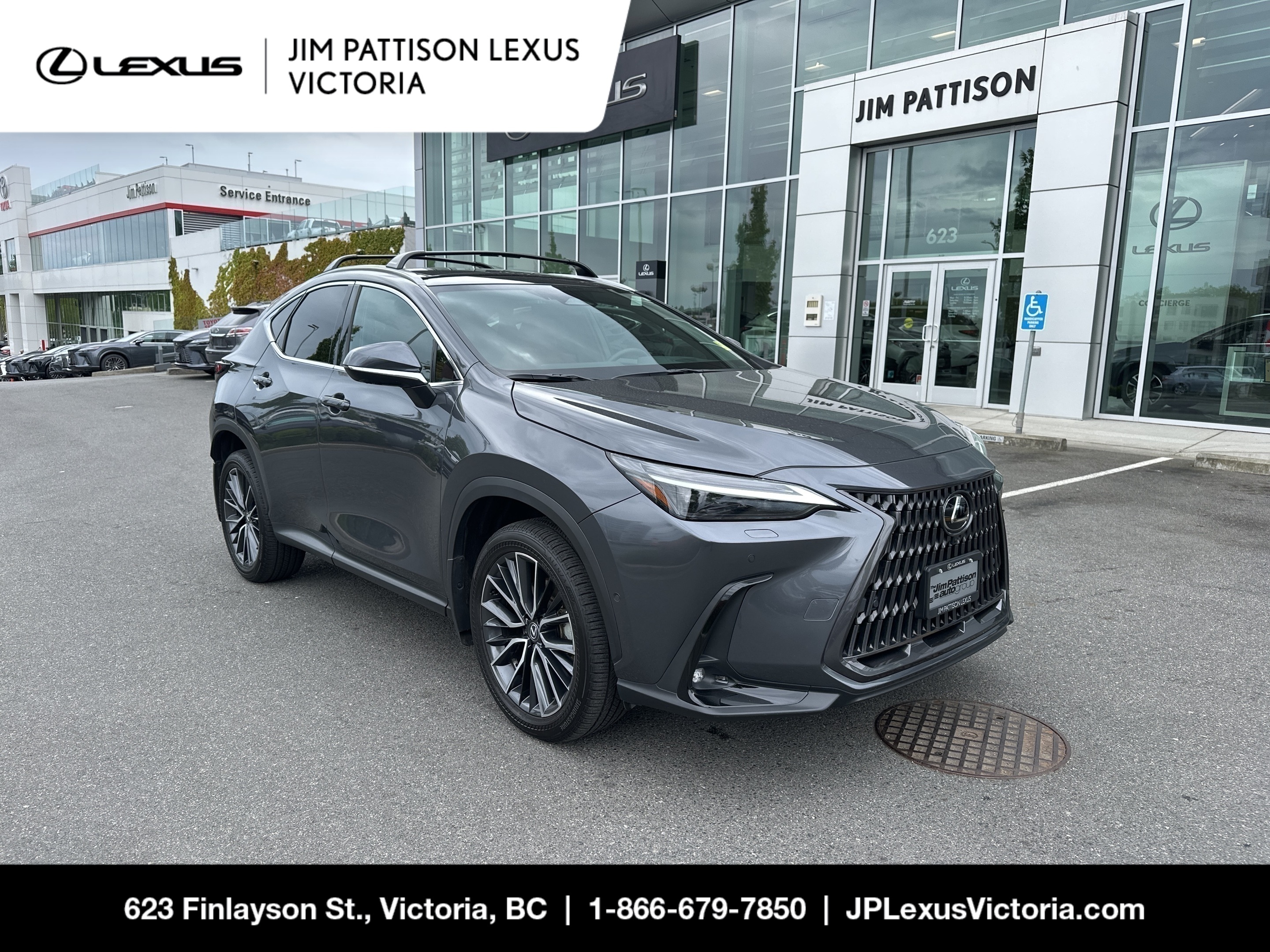 Gray 2025 Lexus NX Hybrid 350h Executive AWD SUV / Crossover Automatic