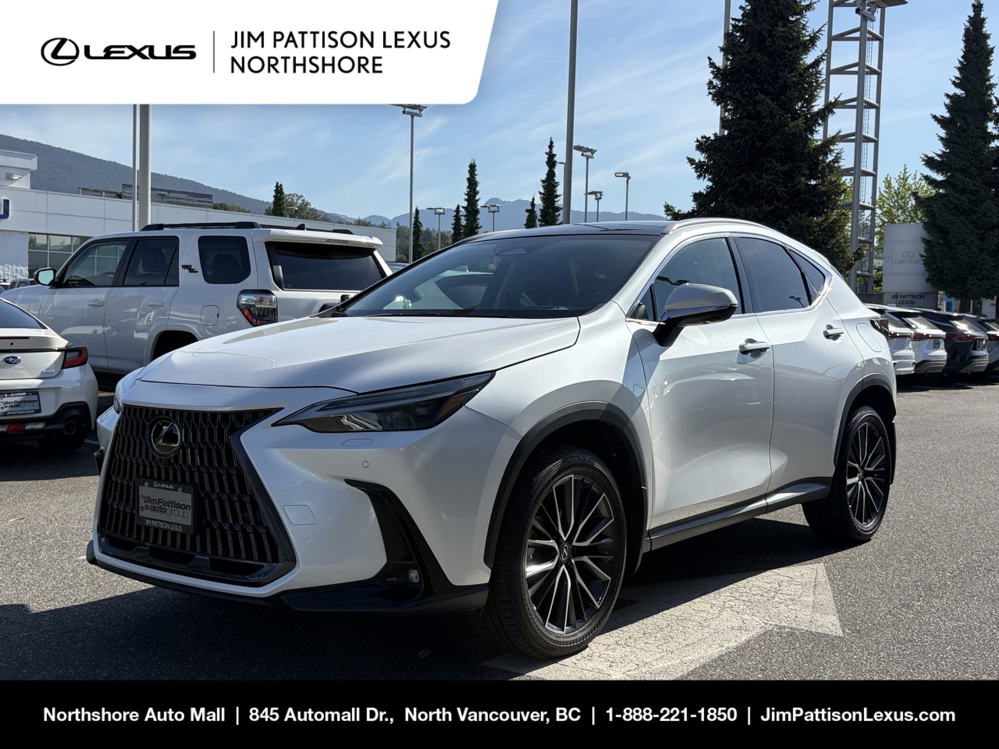 2022 Lexus NX