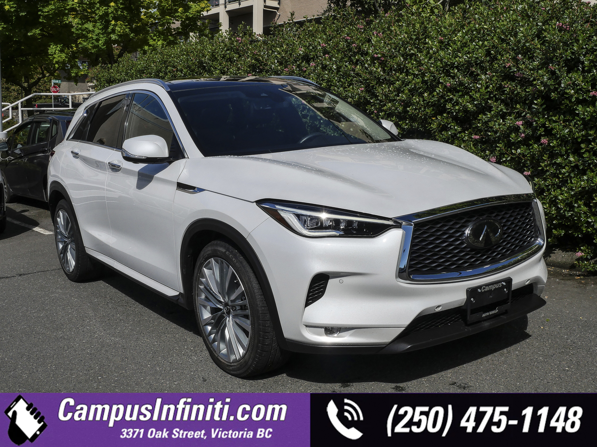 2023 Infiniti QX50