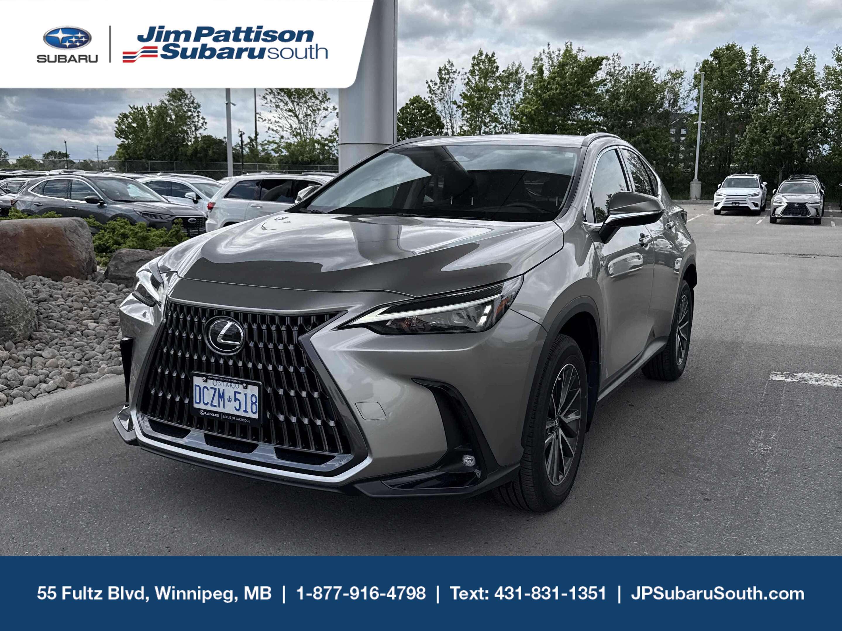 2025 Lexus NX 250 AWD