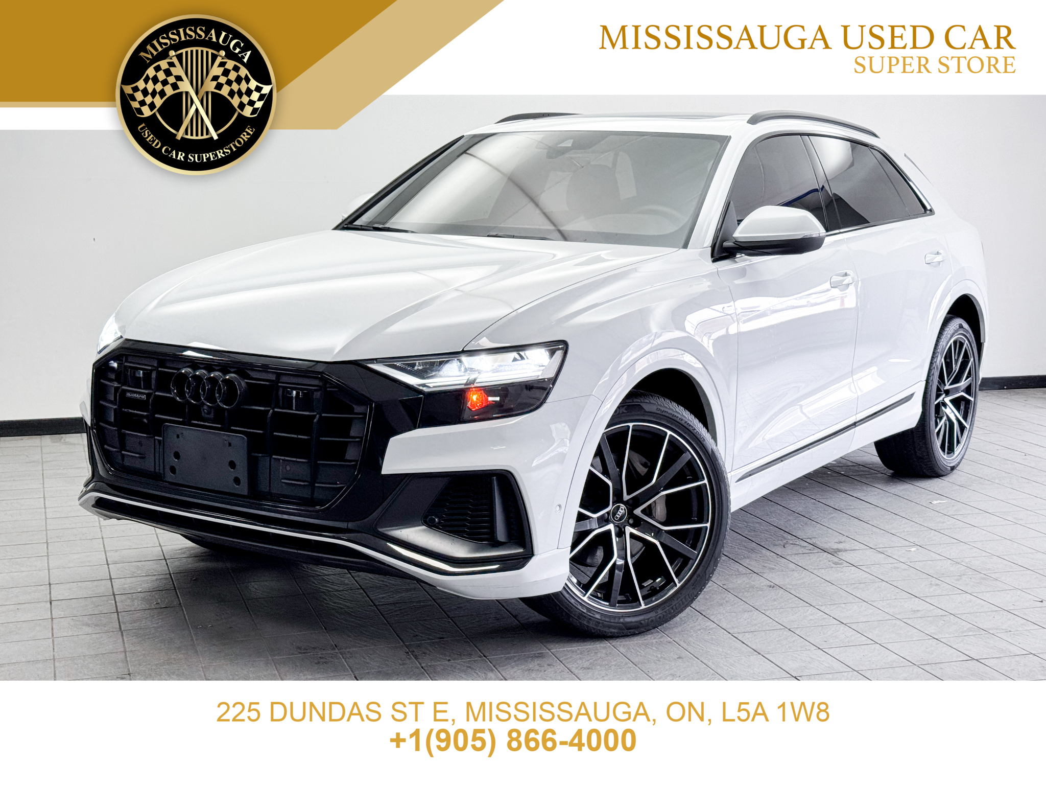 White 2022 Audi Q8 quattro Progressiv 55 TFSI SUV / Crossover Automatic