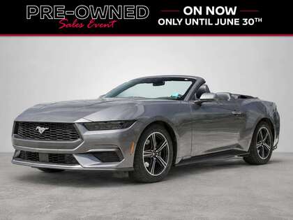 Gray 2025 Ford Mustang EcoBoost Premium Convertible RWD Convertible Rear-Wheel Drive Automatic