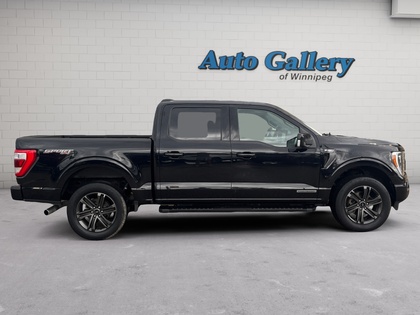 used 2022 Ford F-150 car, priced at $51,964