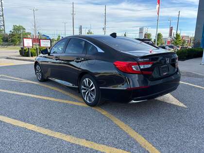 used 2020 Honda Accord Hybrid car, priced at $24,995