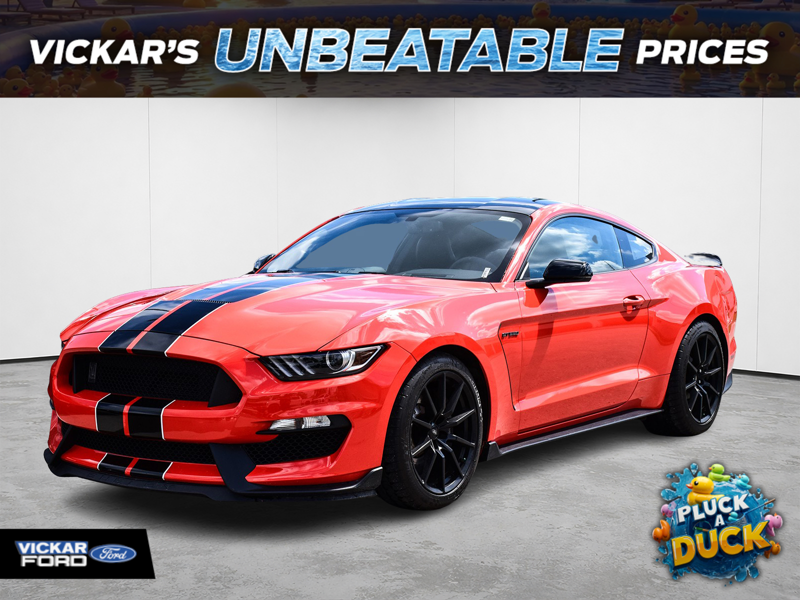 2016 Ford Mustang Shelby GT350 Fastback RWD