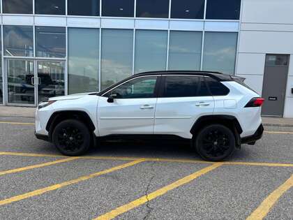 used 2024 Toyota RAV4 car