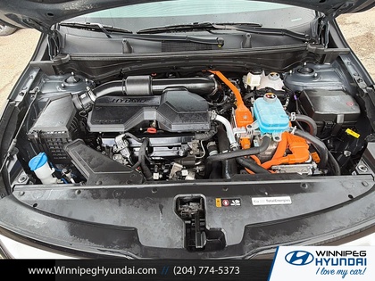 used 2025 Kia Sportage Plug-In Hybrid car, priced at $44,000