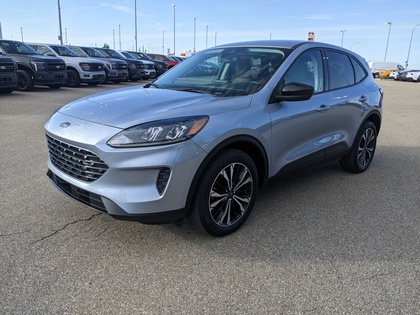 Blue 2022 Ford Escape SUV / Crossover All-Wheel Drive 8-Speed Automatic