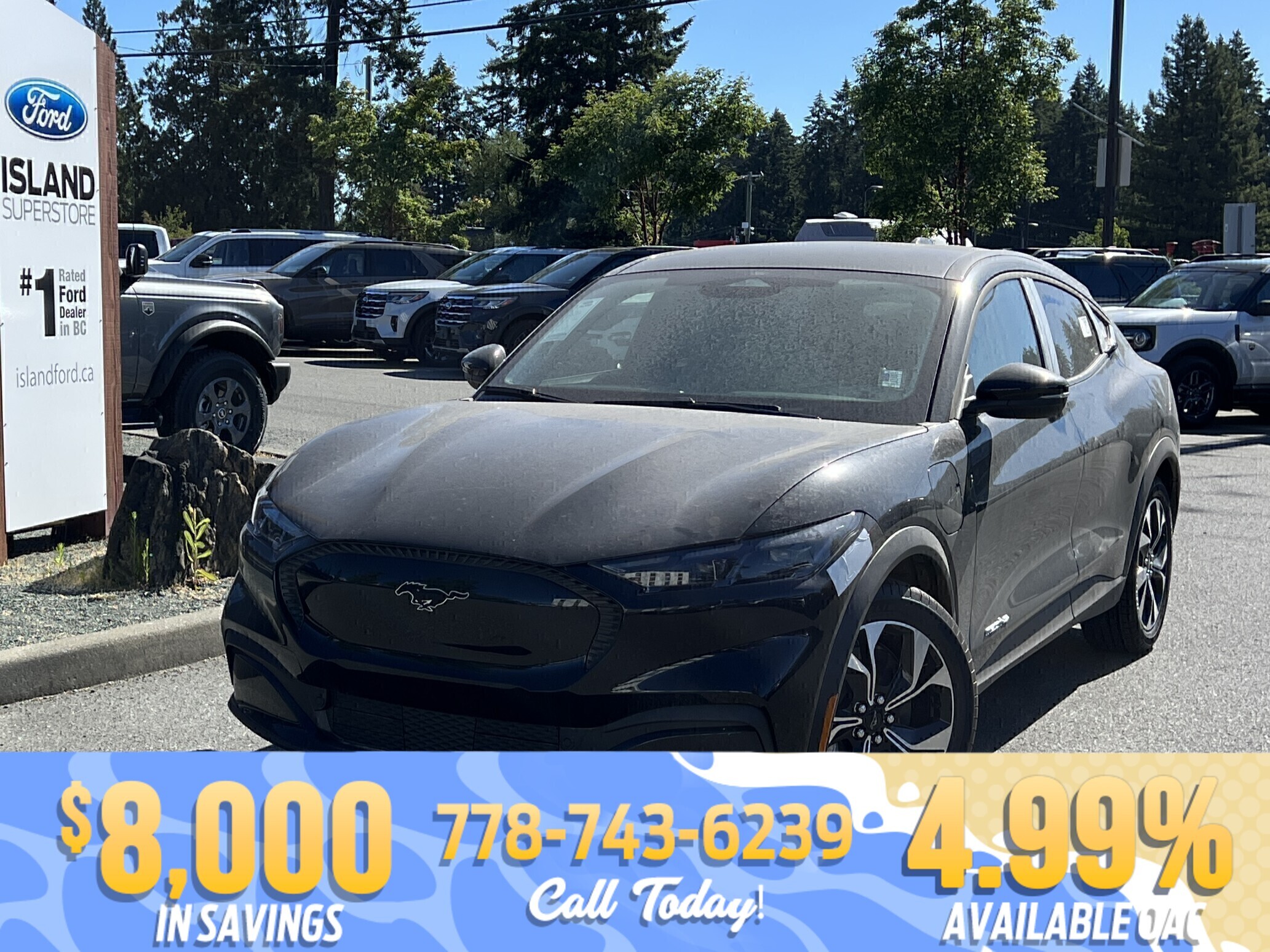 Black 2026 Ford Mustang Mach-E SUV / Crossover All-Wheel Drive 1-Speed Automatic